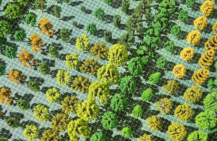 « Arboretum. L’arbre comme architecture »