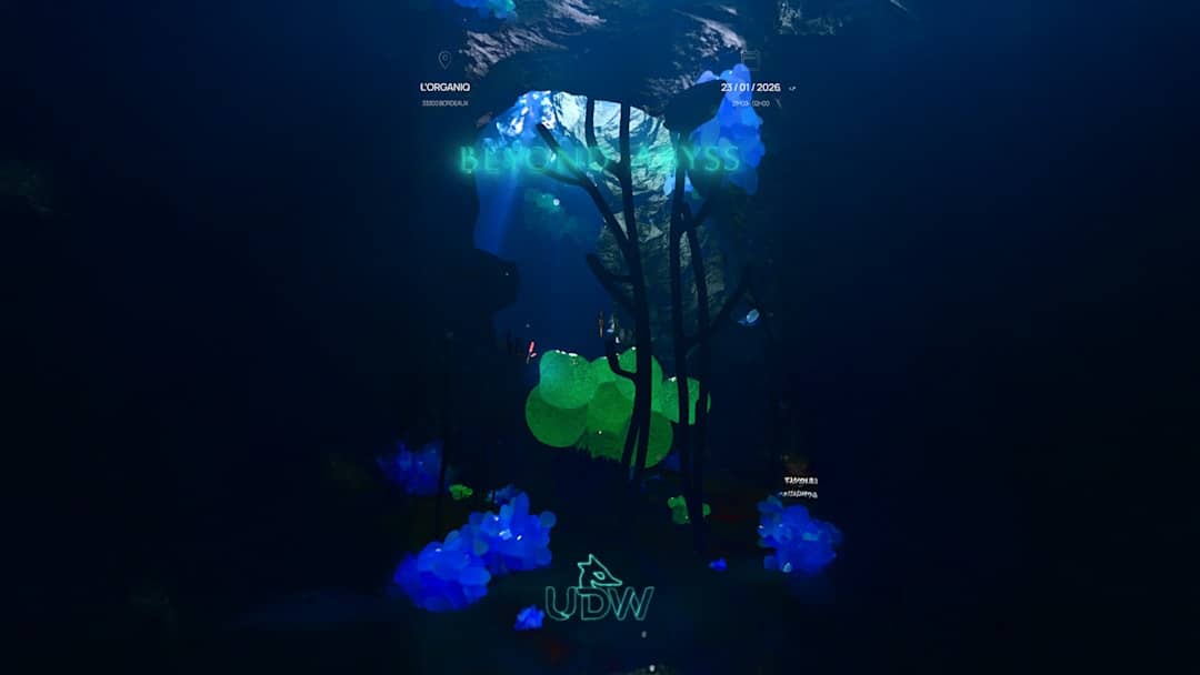 Beyond Abyss w/ Bonneey / Oza / Fl!p / Búa...