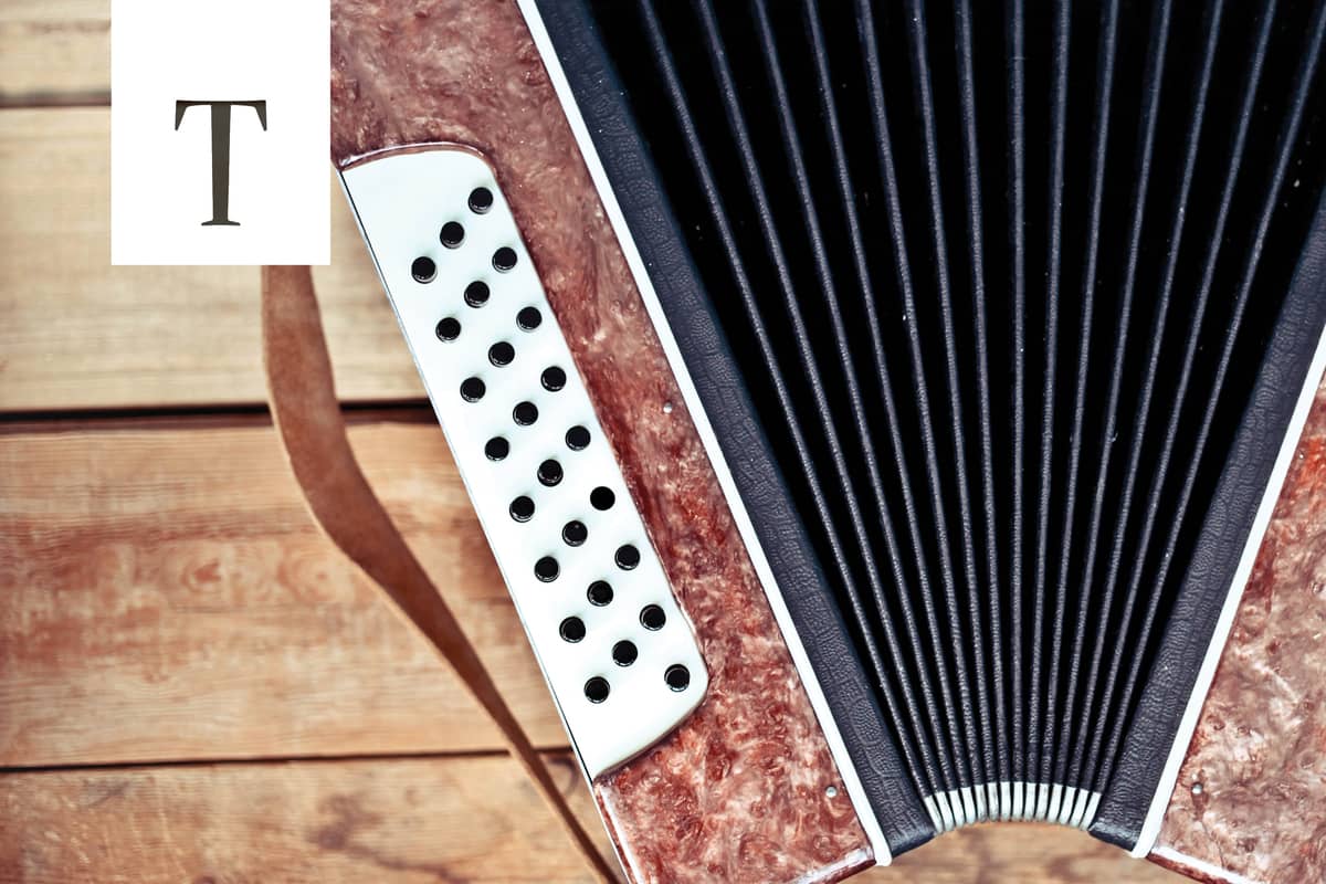 CARROUSEL DE L'ACCORDEON