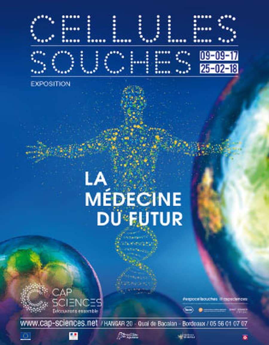 CELLULES SOUCHES : LA MÉDECINE DU FUTUR