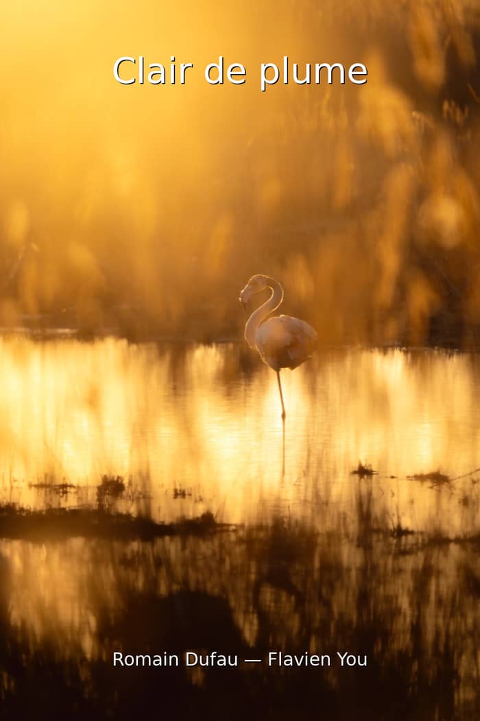 CLAIR DE PLUME PAR ROMAIN DUFAU ET FLAVIEN YOU