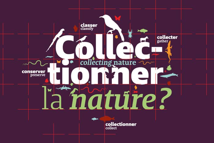 Collectionner la nature ?