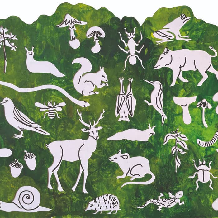 Concert dessiné / Deviens grande forêt