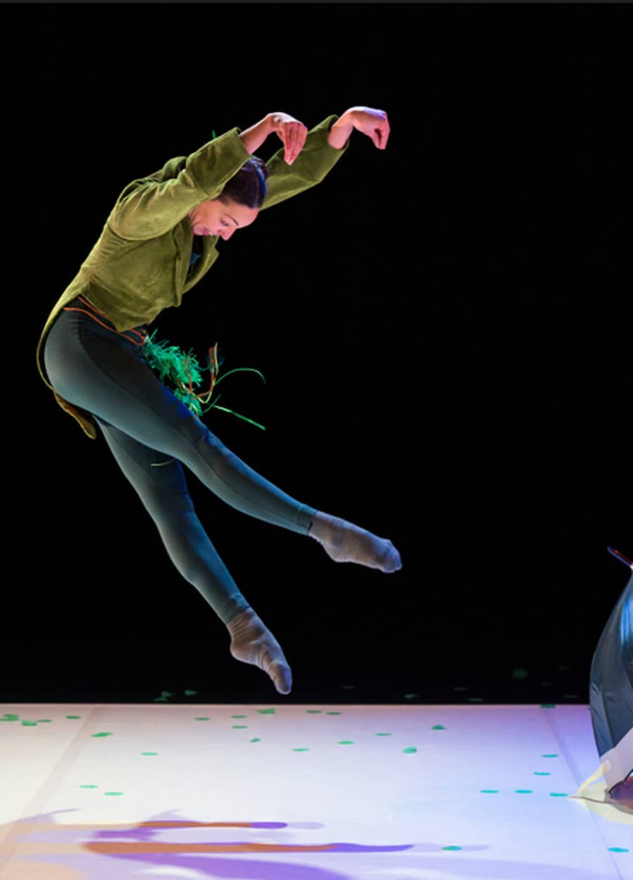 Coquilles - Amala Dianor