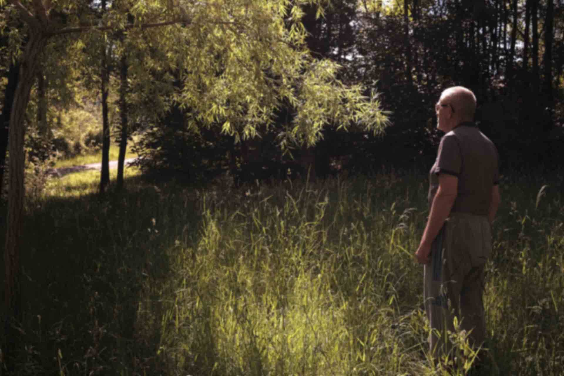 Dick Annegarn « Söl »