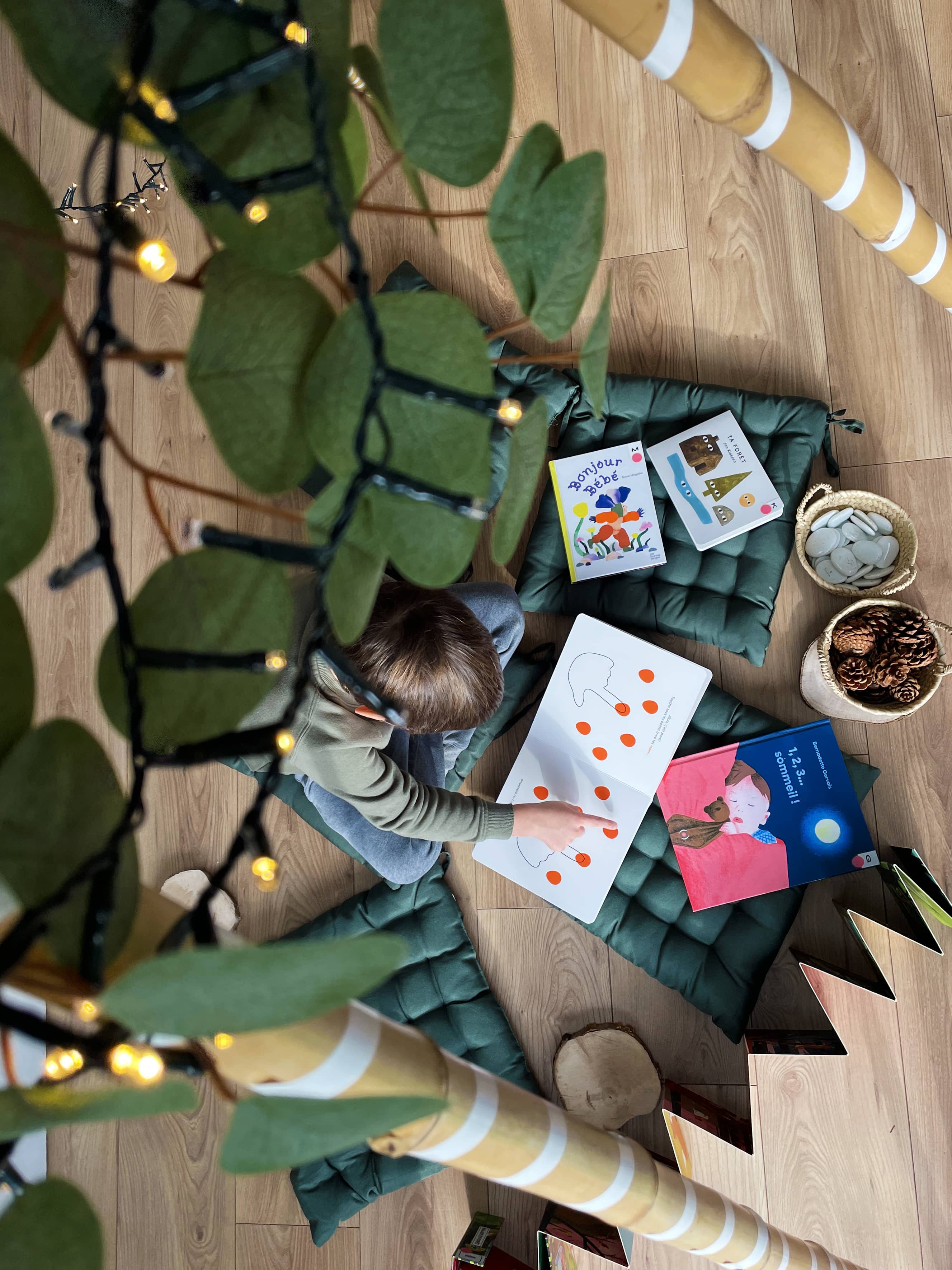 Graine d'Albums : exposition sensorielle