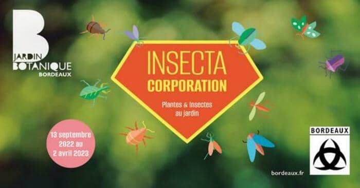 Insecta Corporation