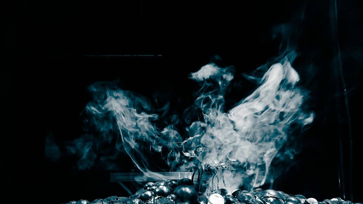 Le Condamné à mort de Genet - Jean-Luc Terrade