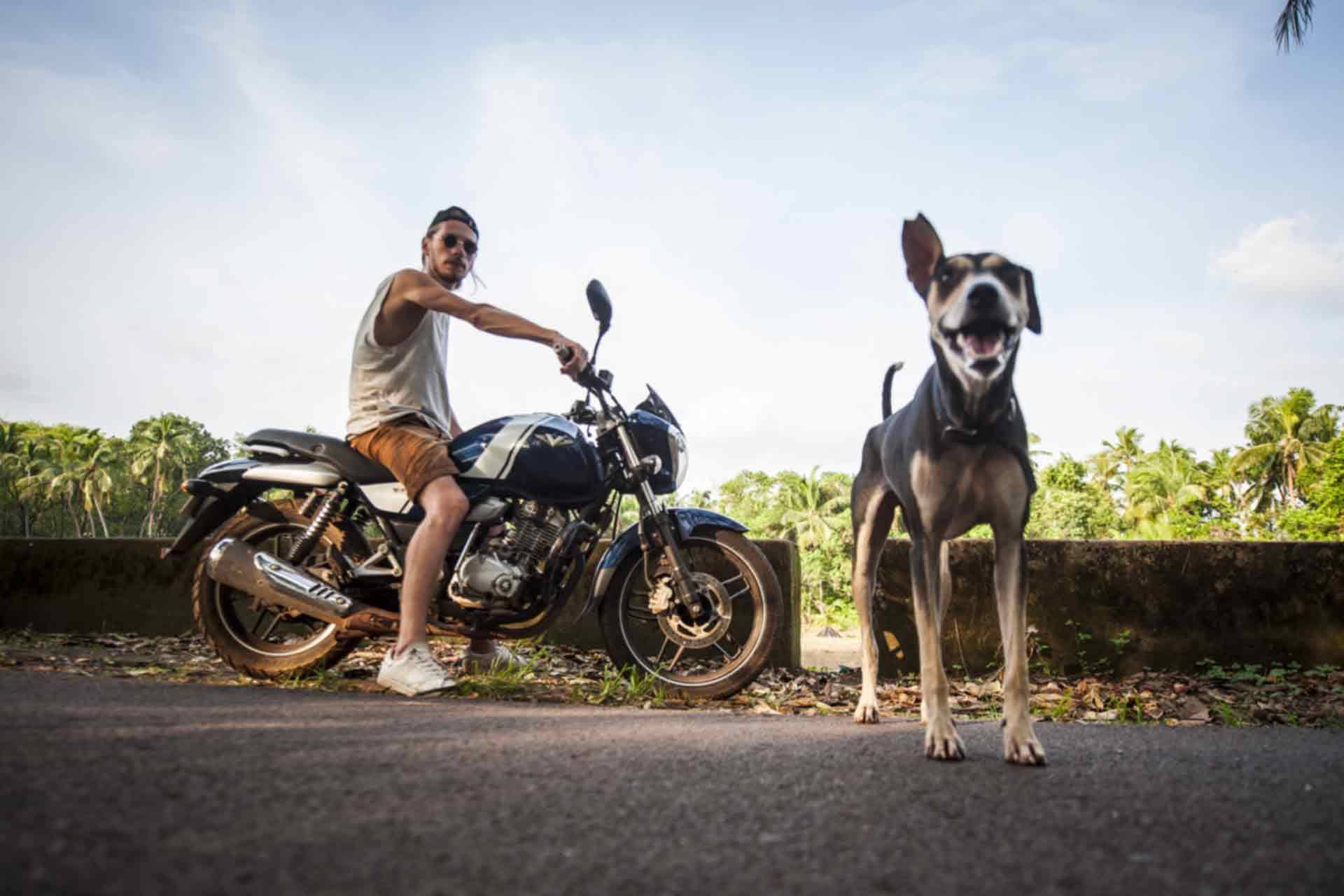 Naâman Sound System