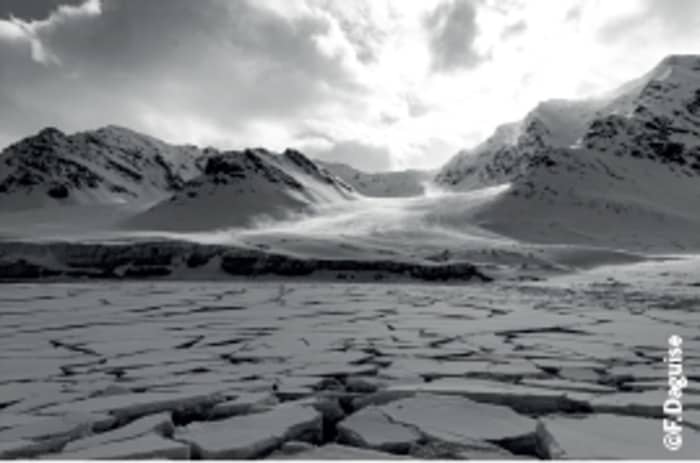 Nostalgie des Glaces / François Daguise
