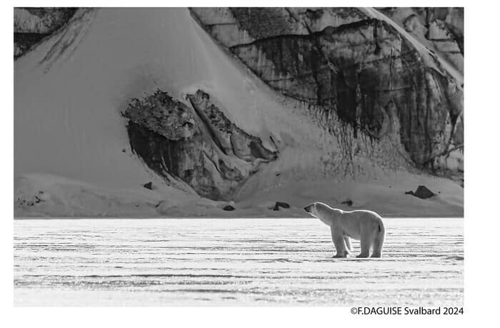 NOSTALGIE DES GLACES / FRANÇOIS DAGUISE