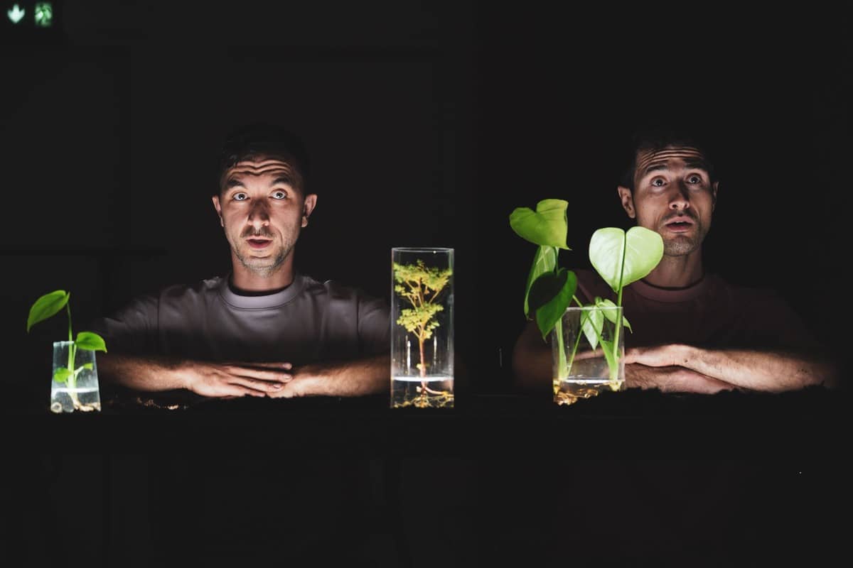 Paradeisos (Il faut cultiver notre jardin)