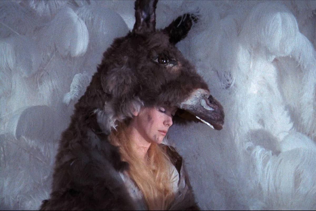 Peau d'Âne / Ciné-concert