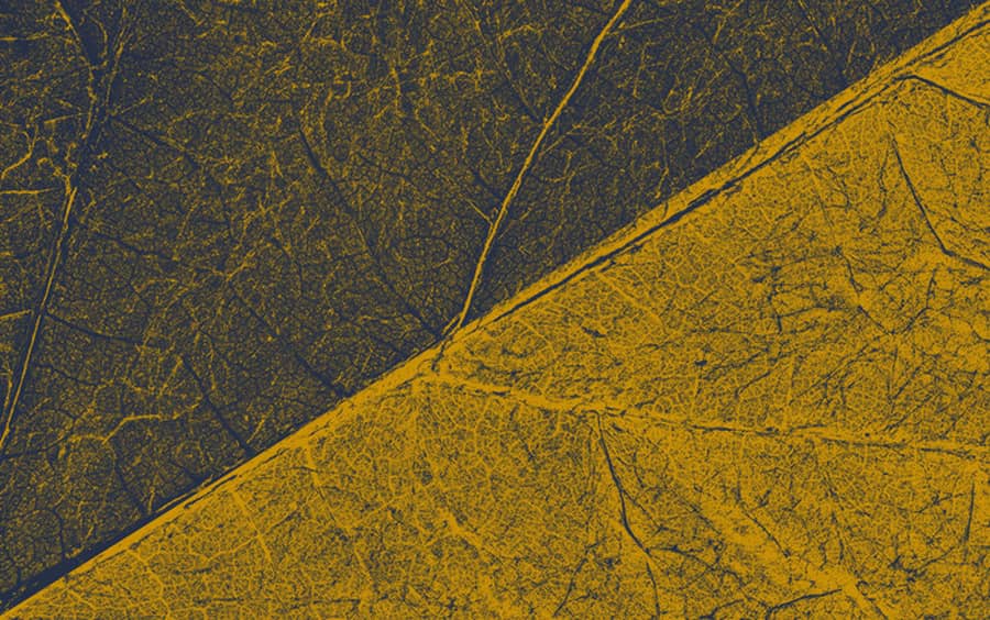 Porto : Douro, l’air de la terre au bord des eaux