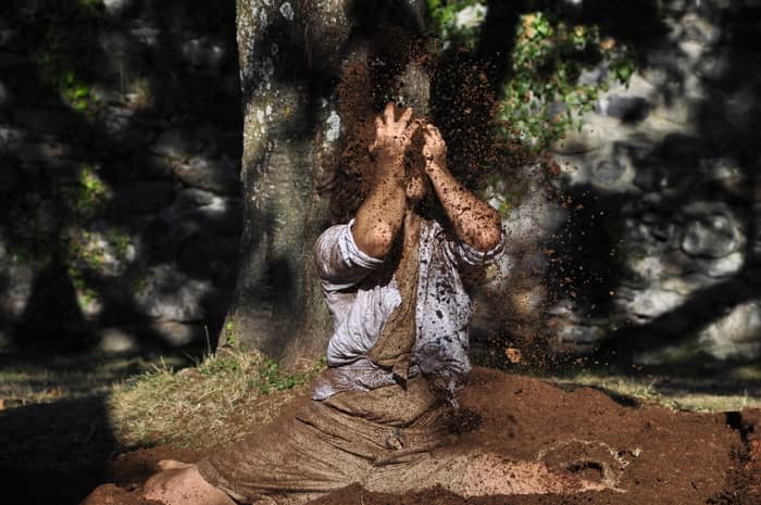 Racine(s) - L’attraction Compagnie