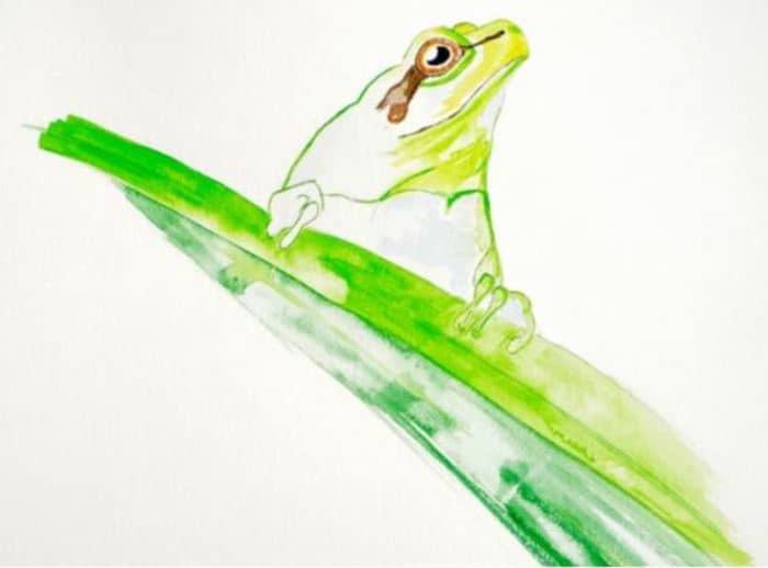 Sentinelles du climat