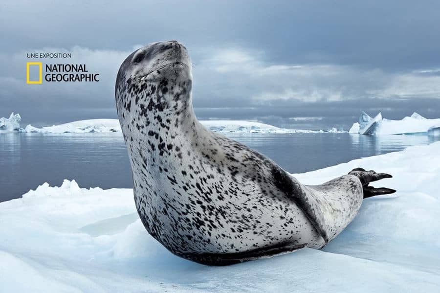 SOUS LES MERS - AU DELA DE L'IMAGE