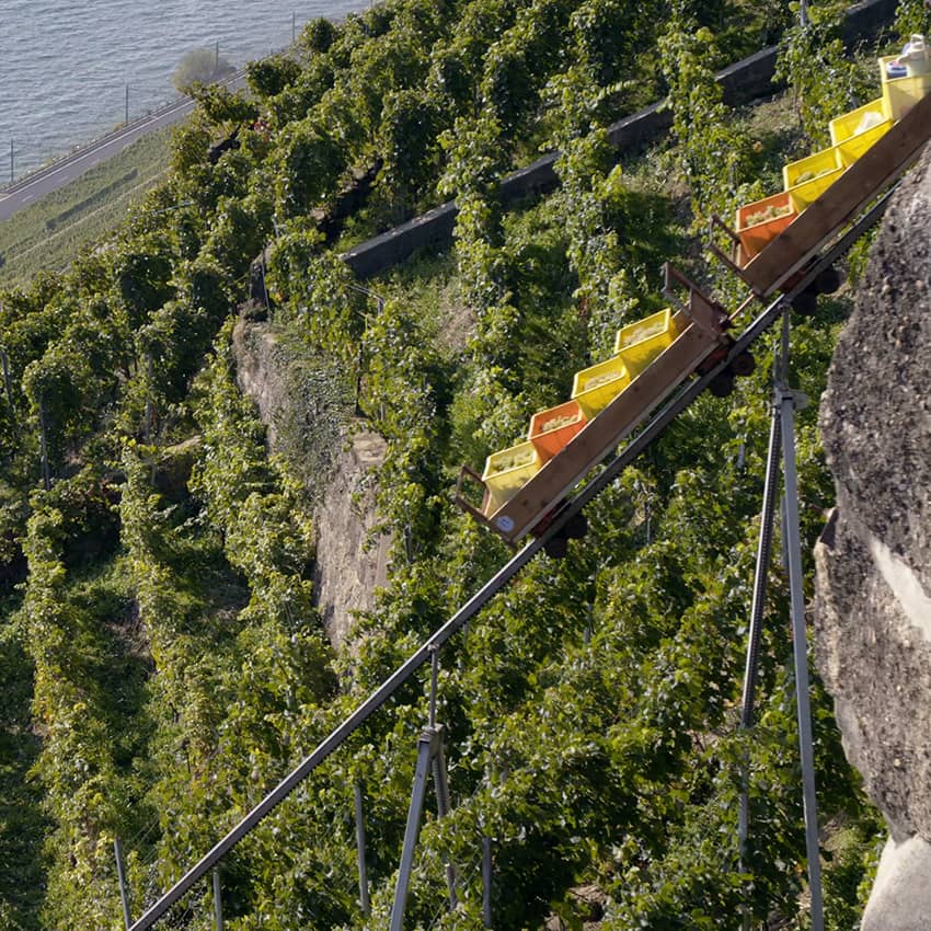 Suisse : Lavaux, les vignes forteresses