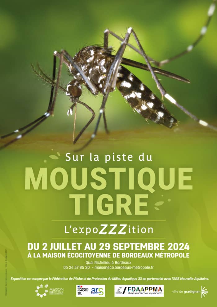 SUR LA PISTE DU MOUSTIQUE TIGRE,  L'EXPOZZZITION !