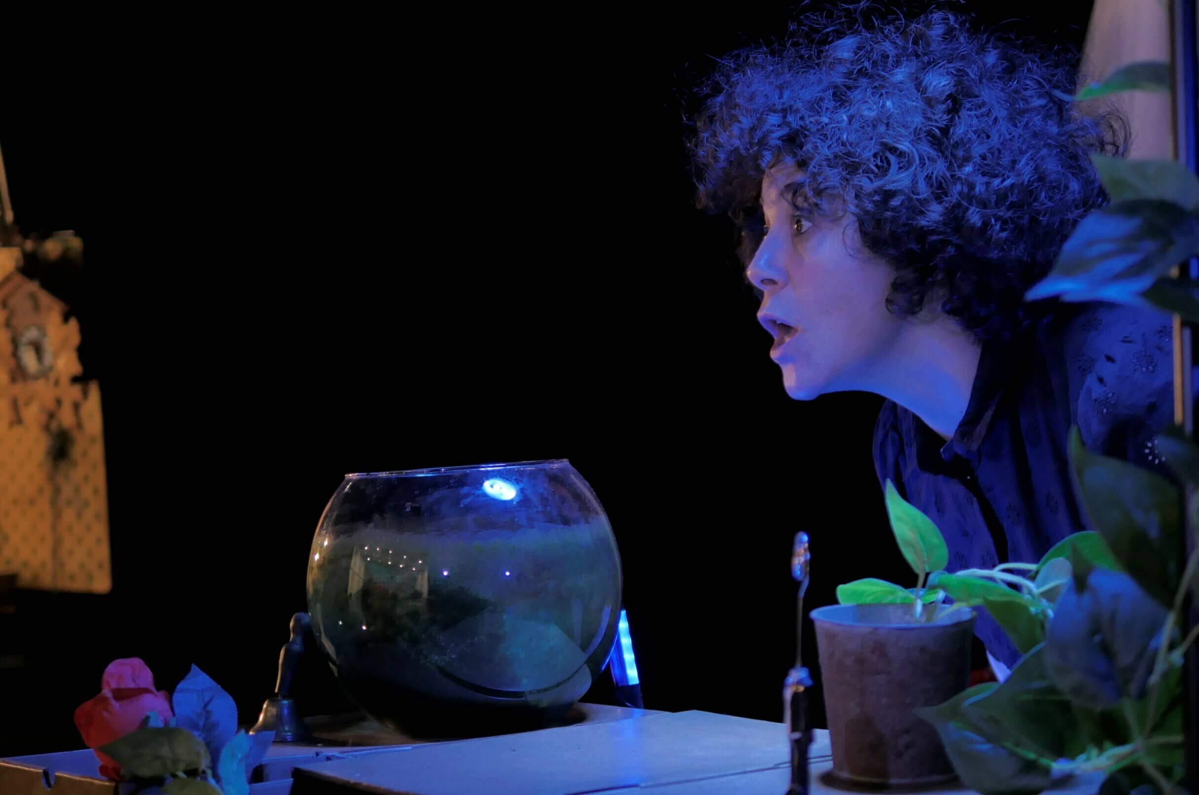 Une Chaussure dans le Bocal