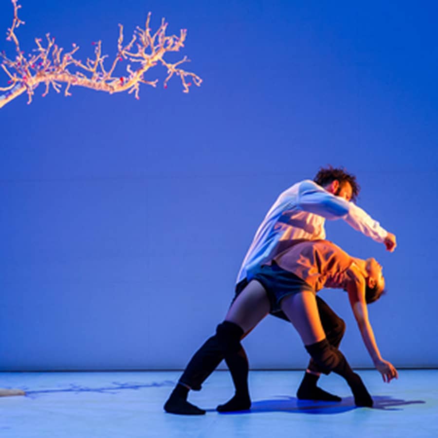 W.A.M. (We are Monchichi) - Compagnie Wang-Ramirez