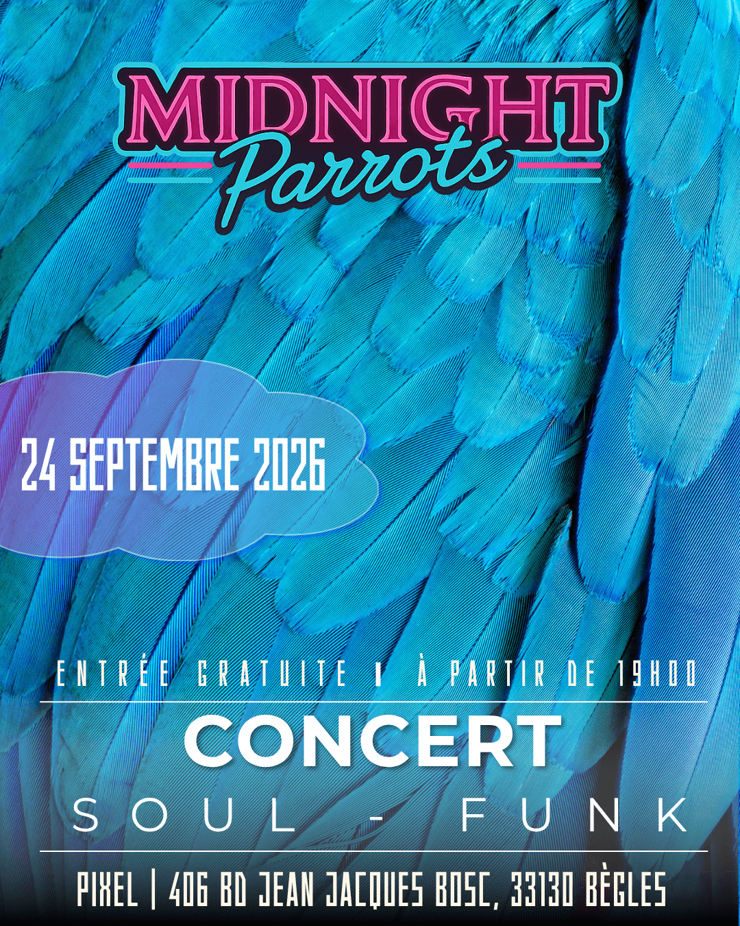 Midnight Parrots / Diner-concert