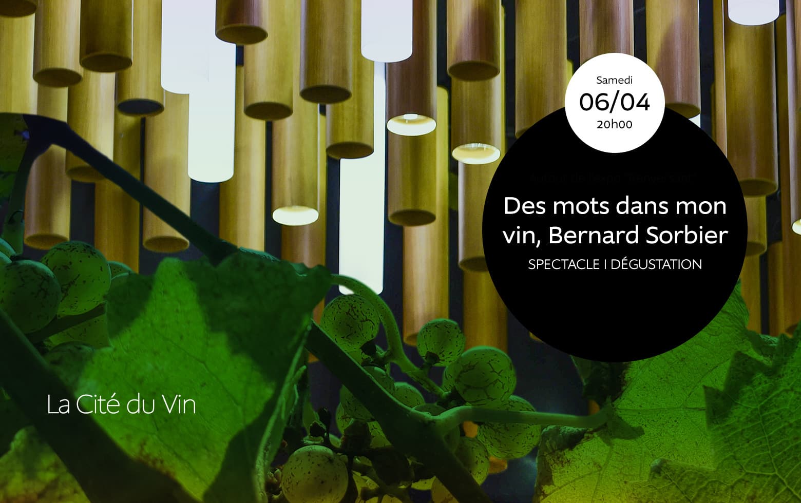 Des mots dans mon vin