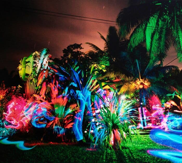 Éclairer ce qui est resté dans l'ombre