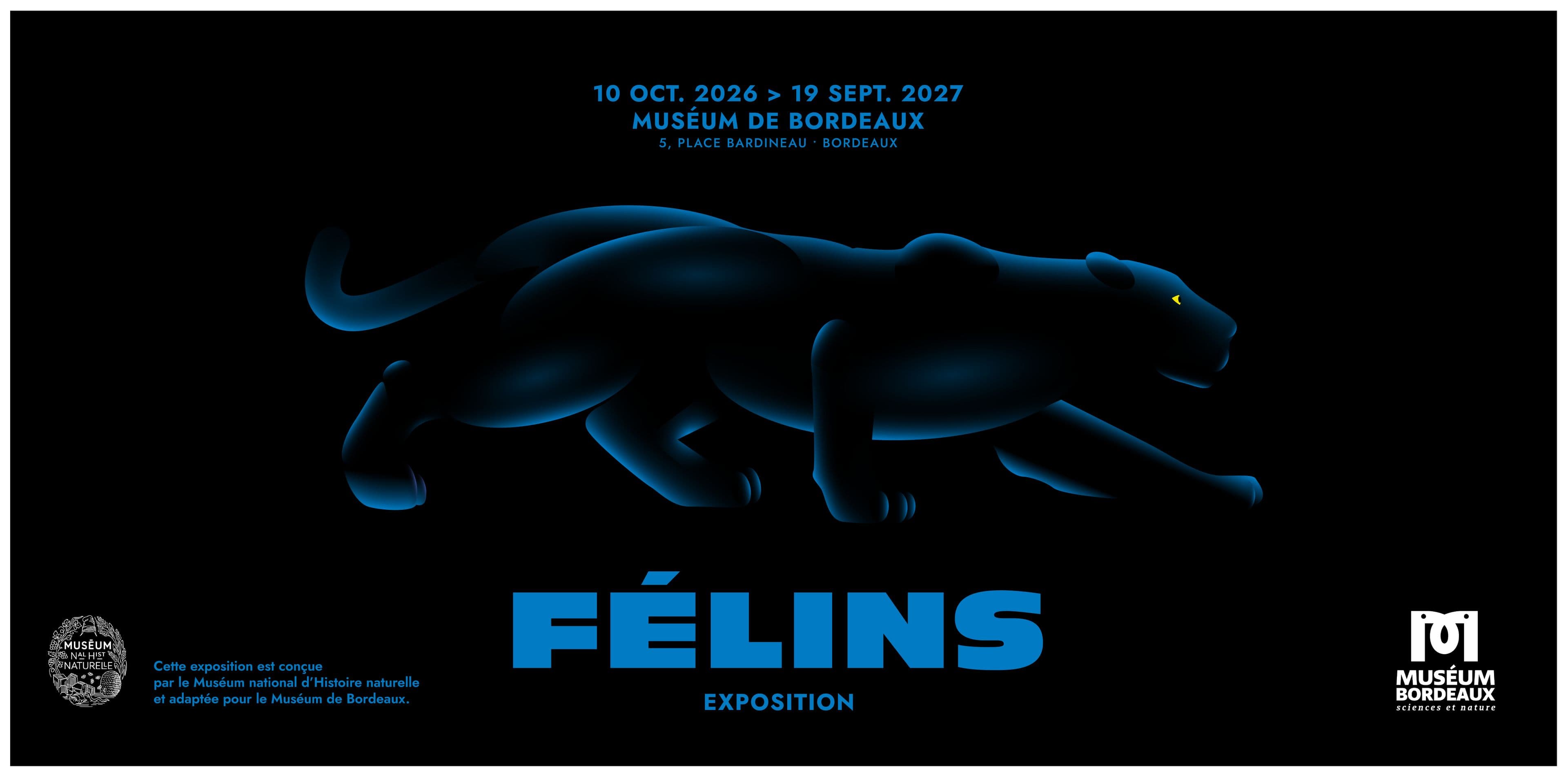 Félins