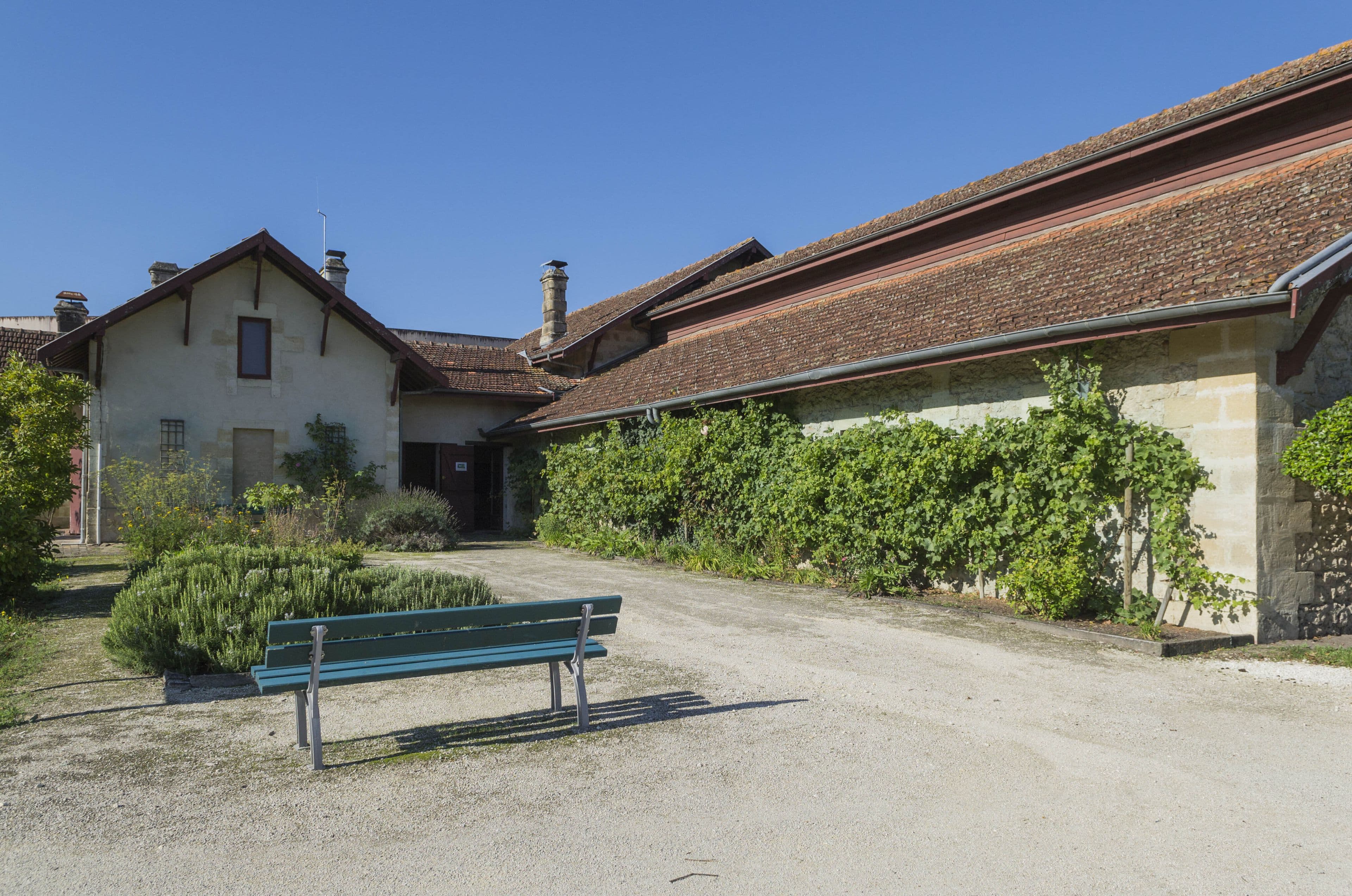 Les 4 saisons de la vigne