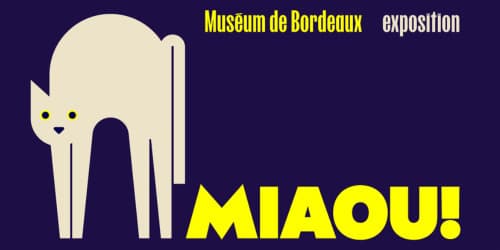 Miaou !