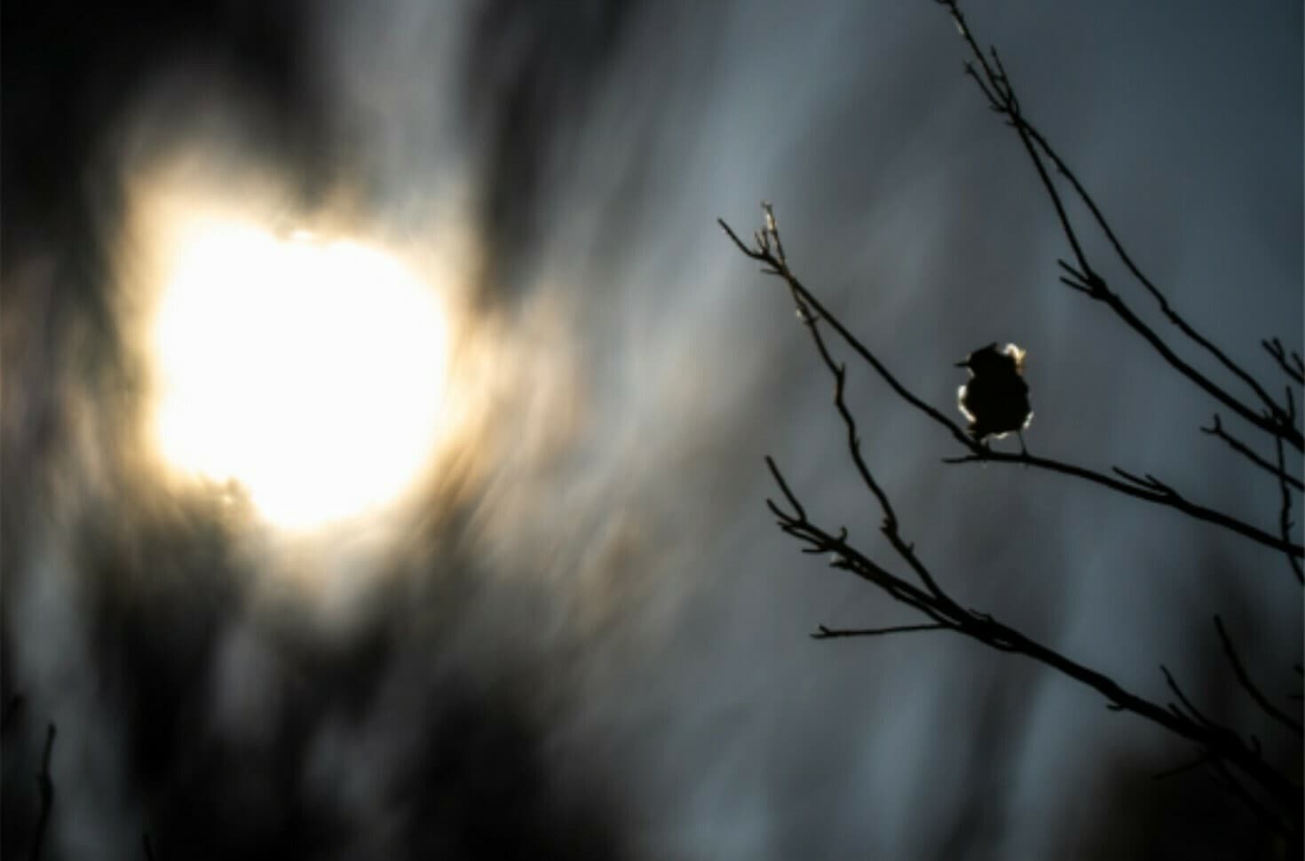 Exposition photographique Clair de Plume