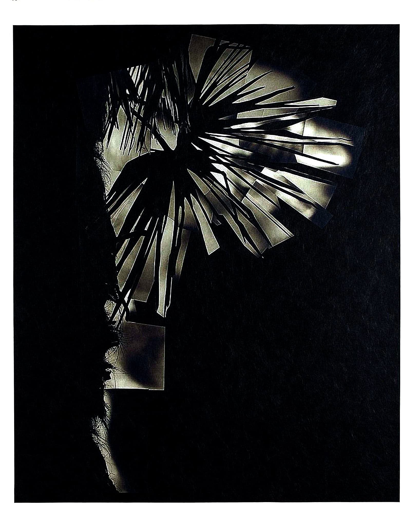 "Herbier", une exposition d’Alain Béguerie