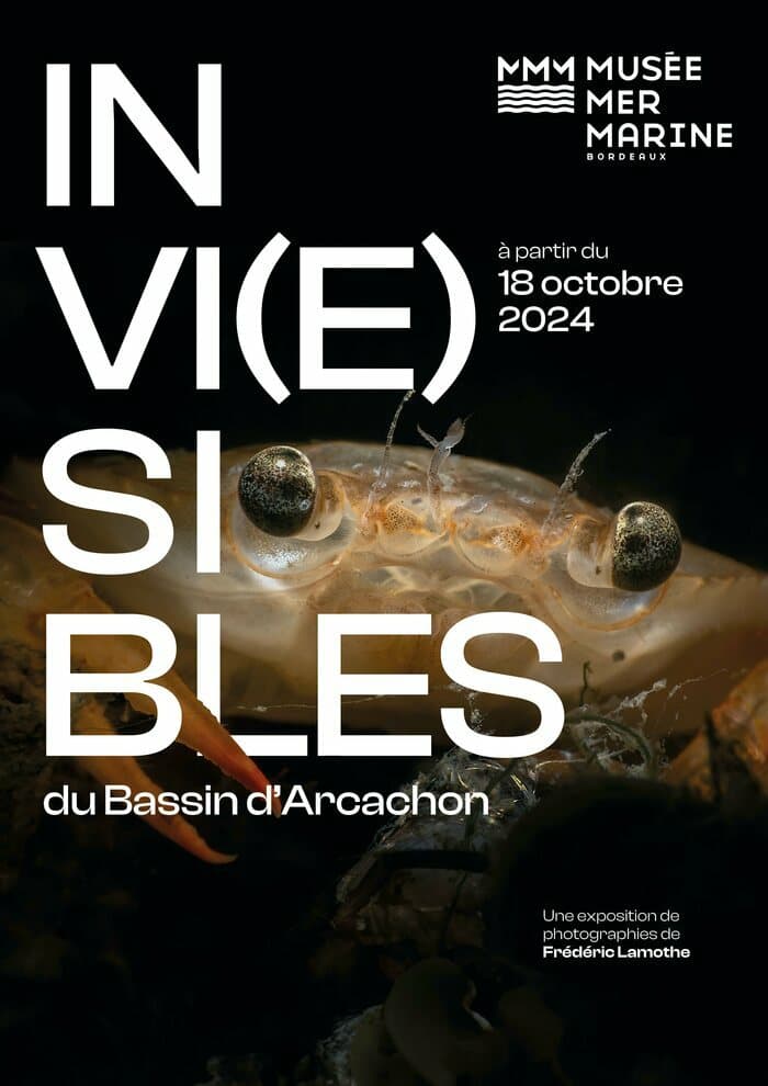 Invi(e)sibles du bassin d'Arcachon
