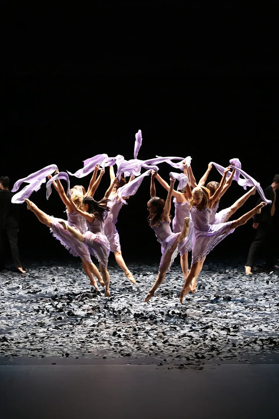 Malandain Ballet Biarritz : L'Amour sorcier / Don Quichotte