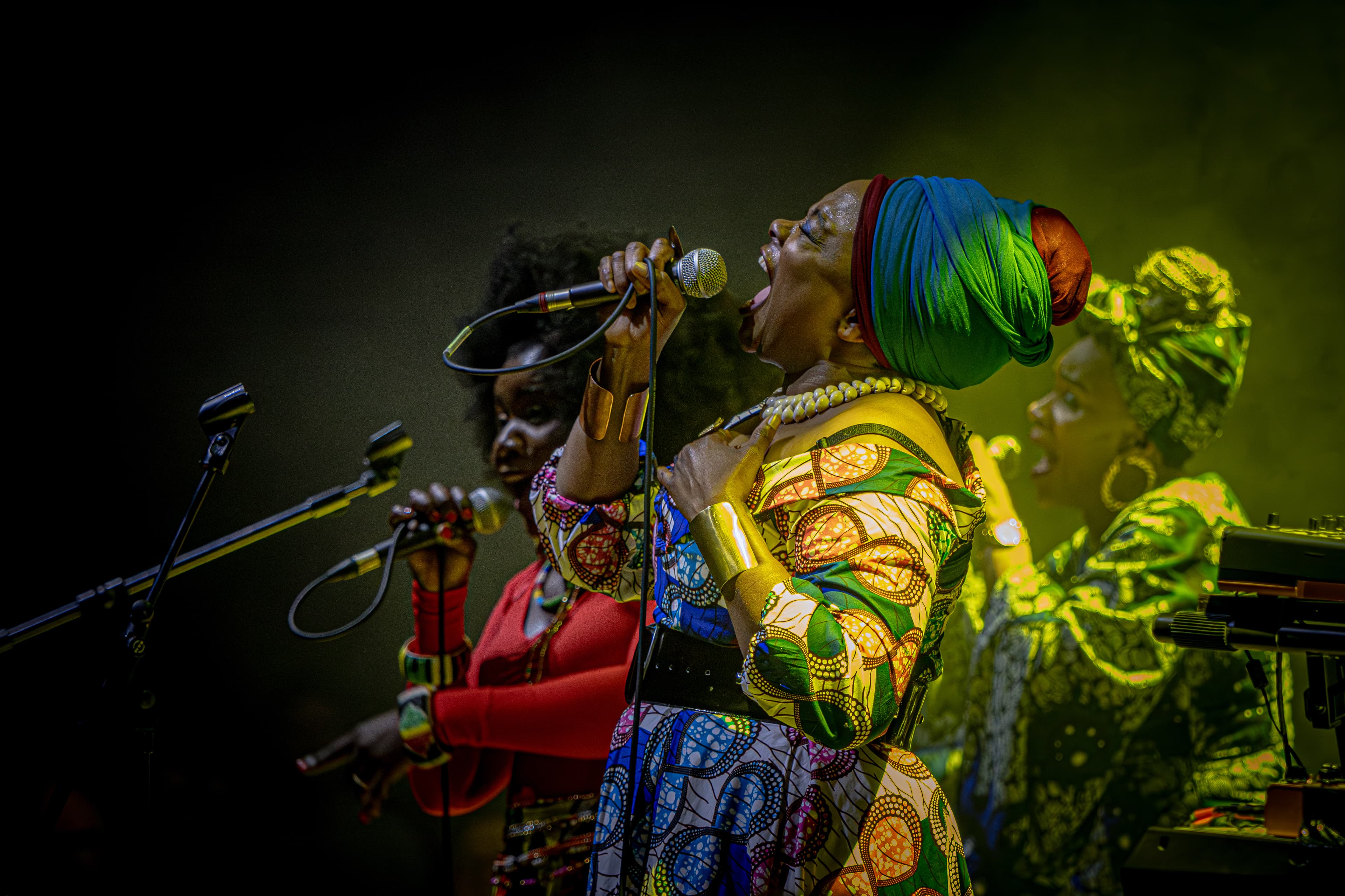 Les Amazones d'Afrique