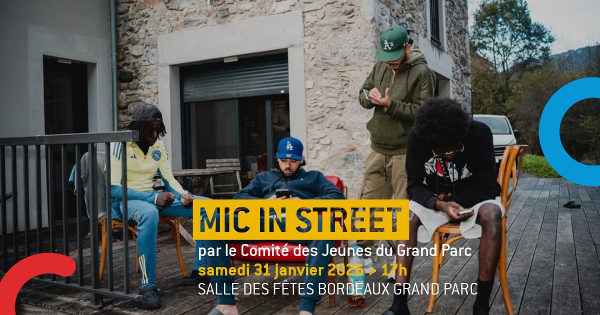 MIC IN STREET