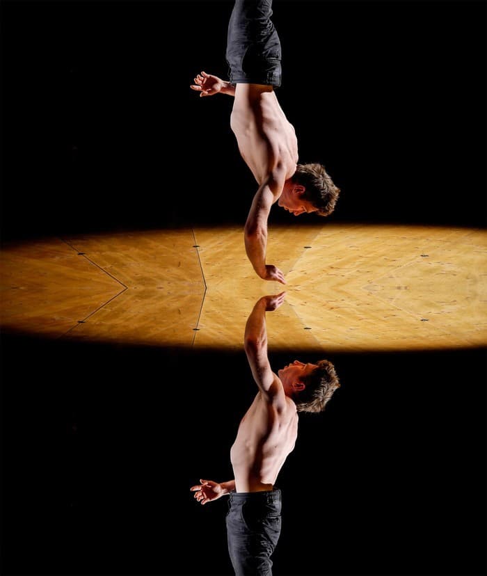 Nartiste (titre provisoire)