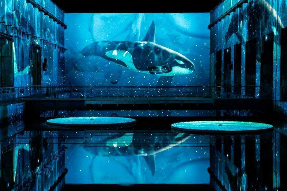 Océan, une plongée immersive