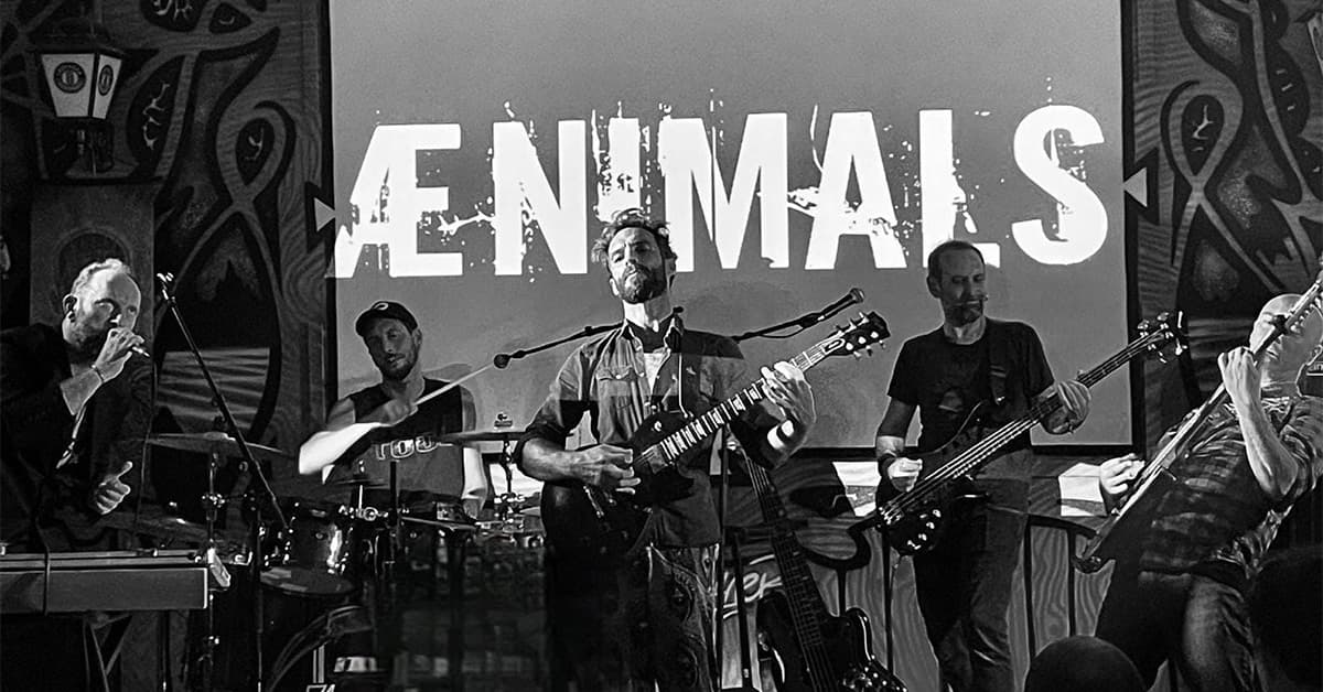 Release Party : Aenimals + invités