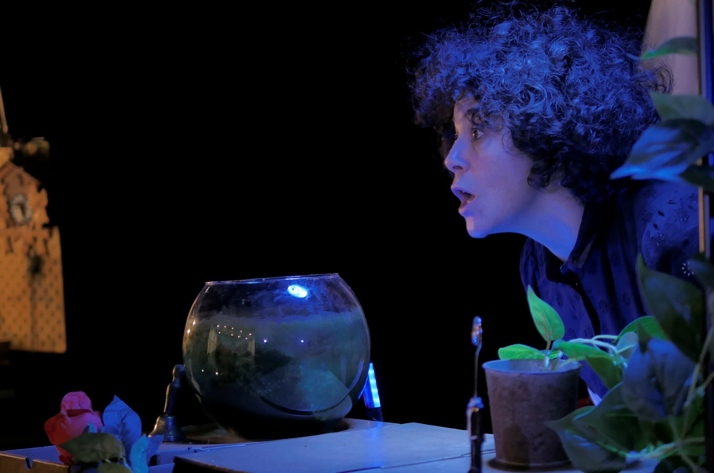 Une Chaussure dans le Bocal