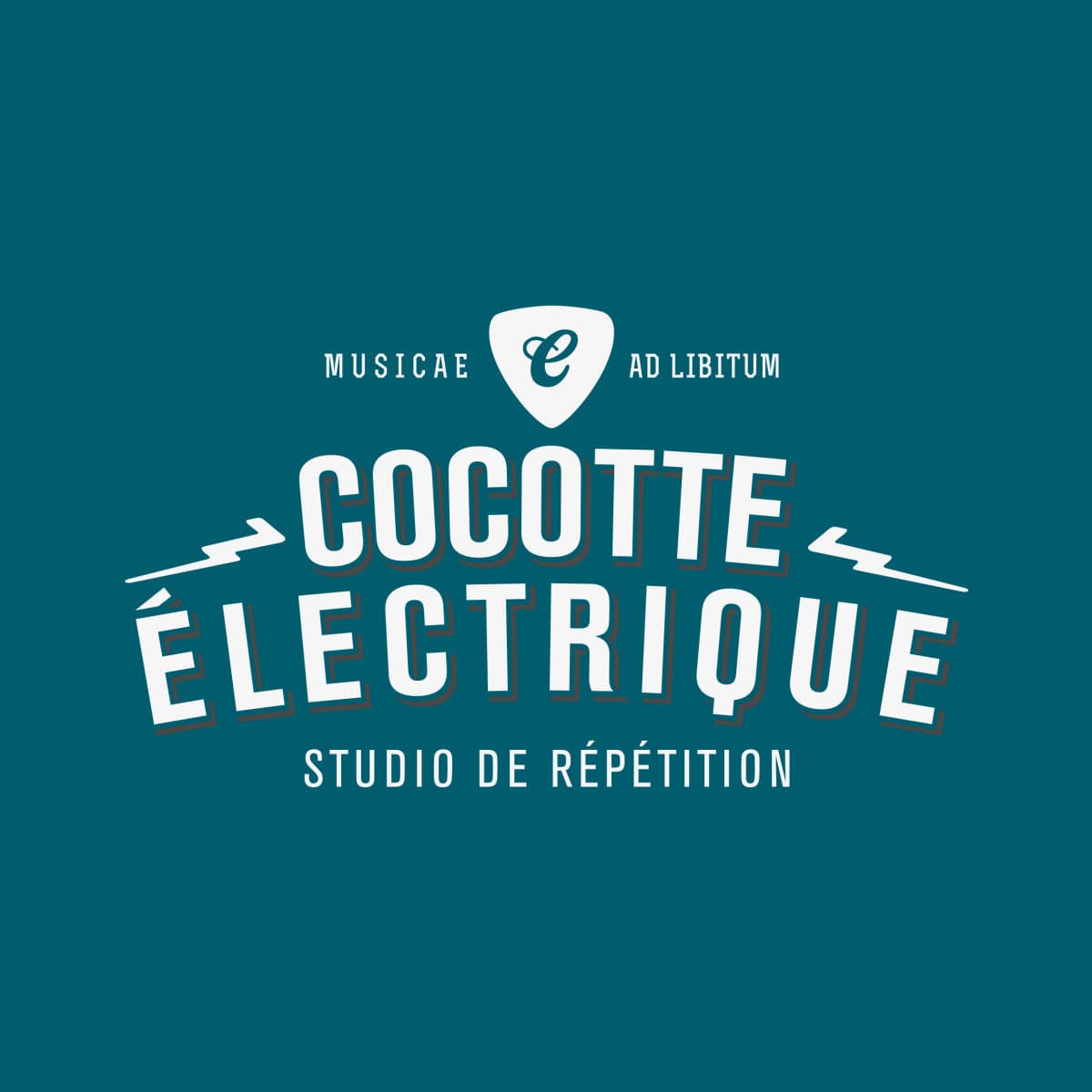 La Cocotte Electrique