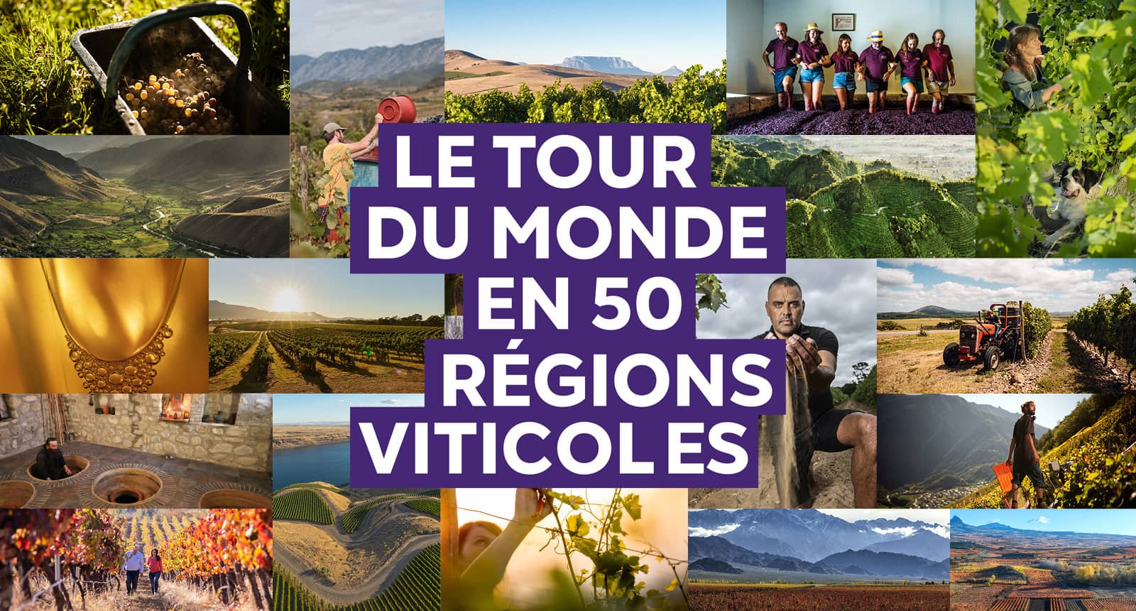 Le tour du monde en 50 régions viticoles