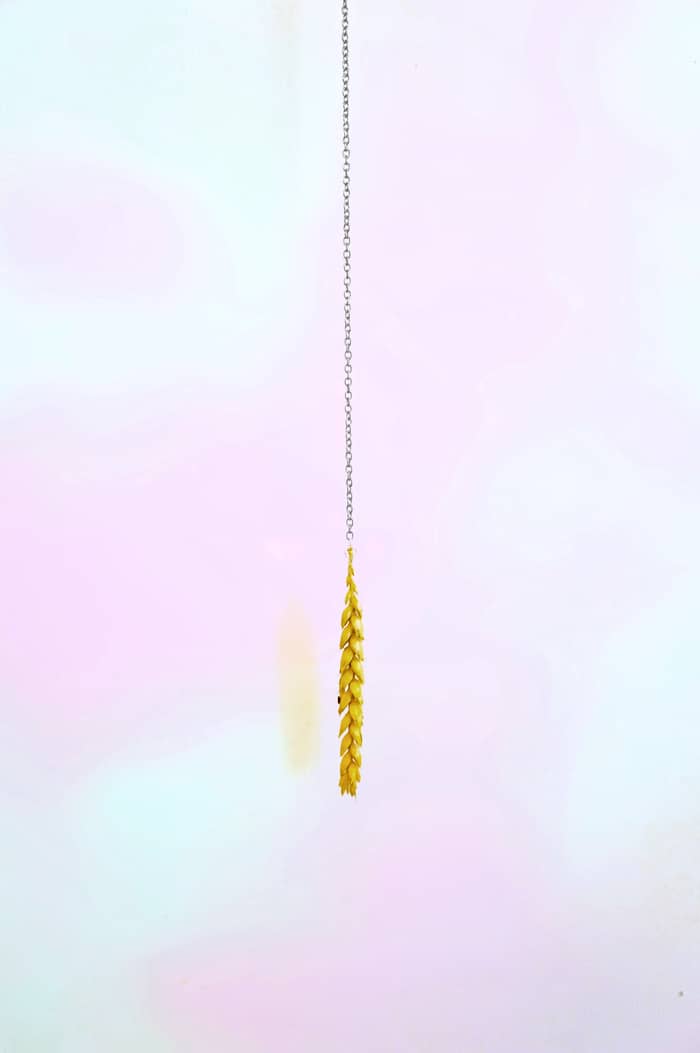 Exposition Memory of green d'Amandine Pierné-Petermann