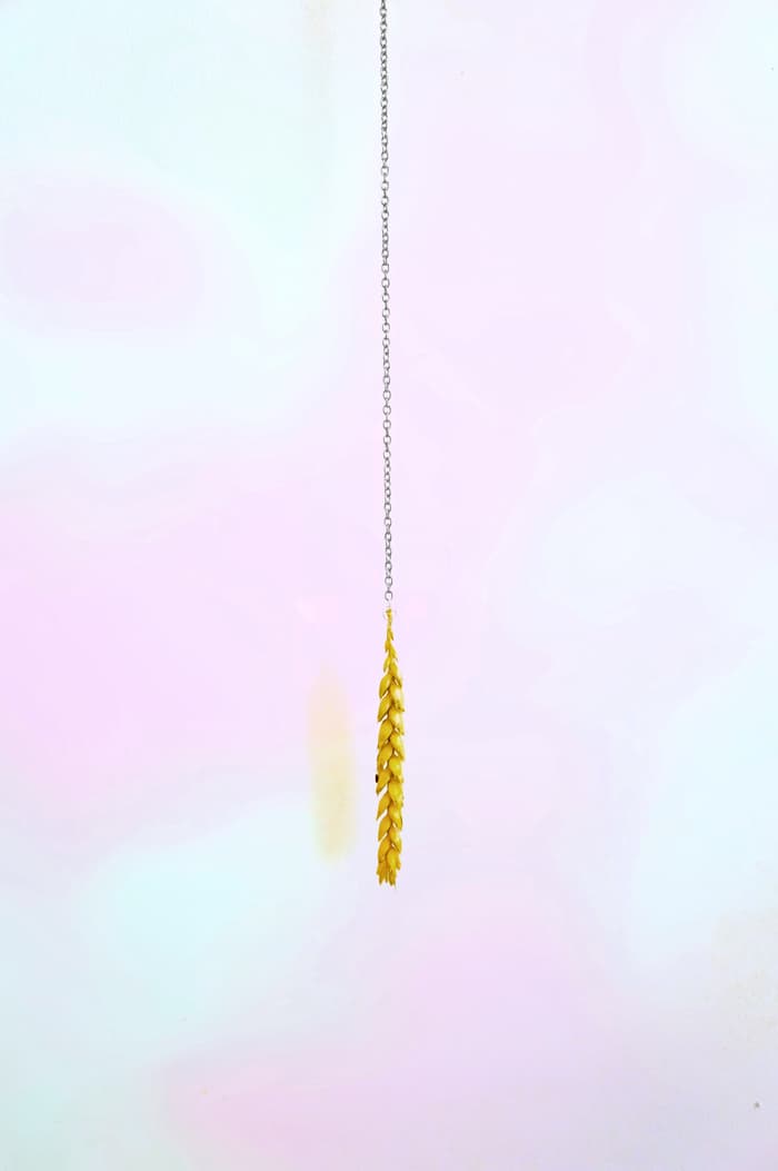 Exposition Memory of green d'Amandine Pierné-Petermann