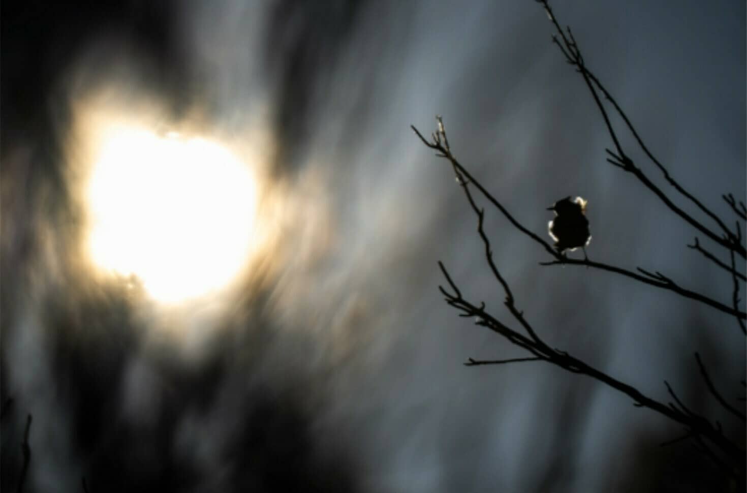 Exposition photographique Clair de Plume