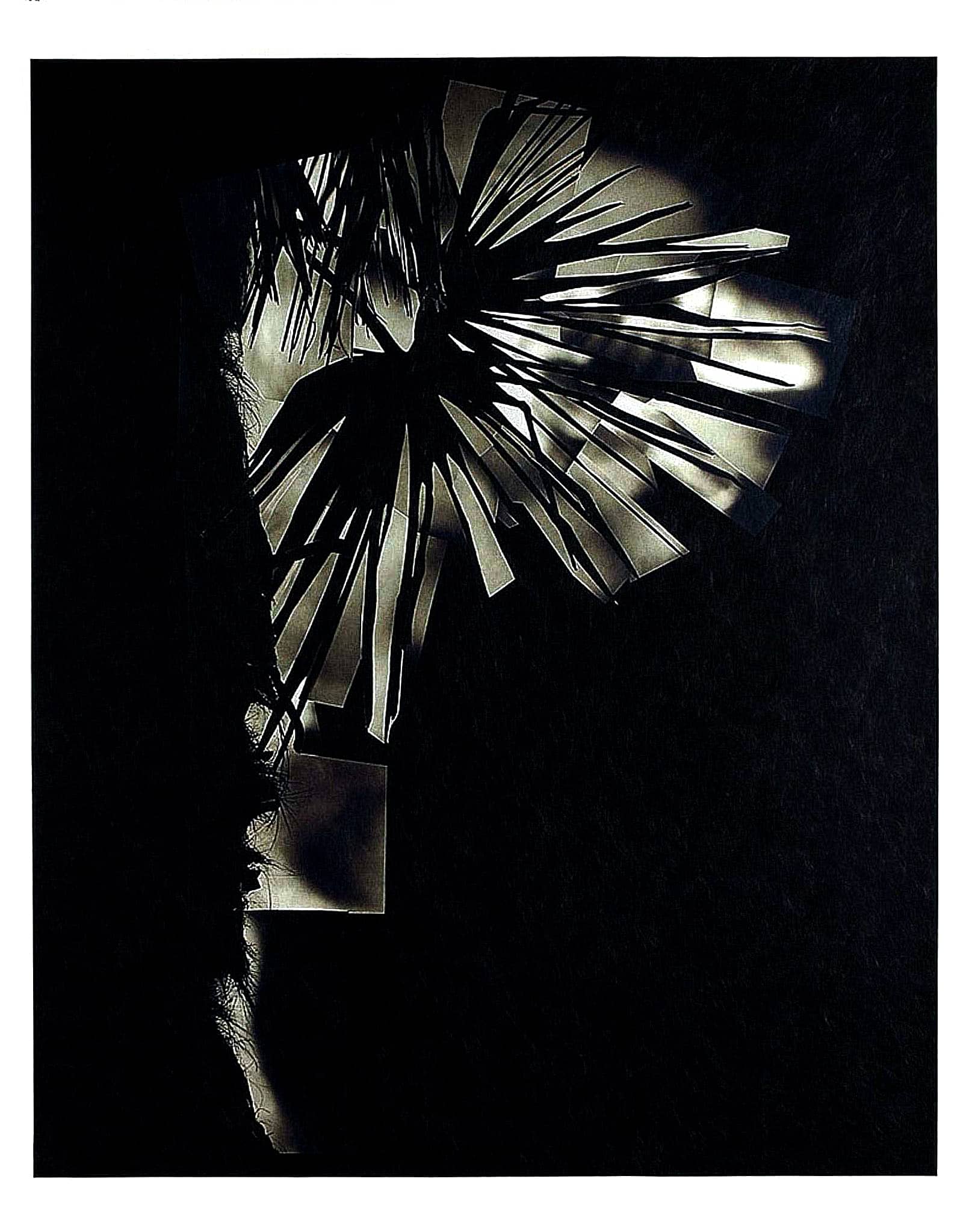 "Herbier", une exposition d’Alain Béguerie