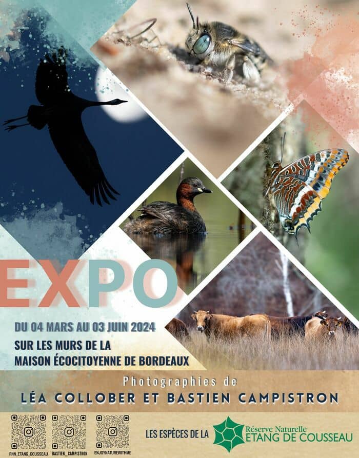 LA SEPANSO ET SA RÉSERVE NATURELLE NATIONALE L'ÉTANG DE COUSSEAU