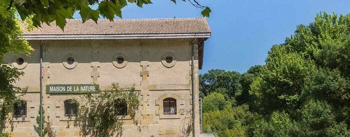 « L'Arbre en fête 2022 » : exposition ''Arbres et forêts''