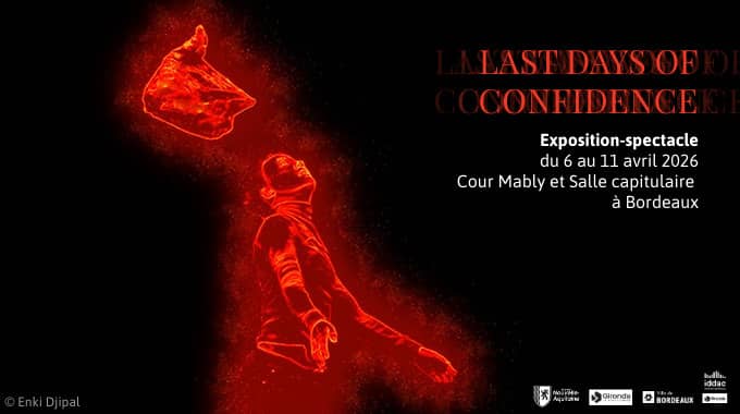 Last Days of Confidence, Le dernier tour de piste de Paul les Oiseaux